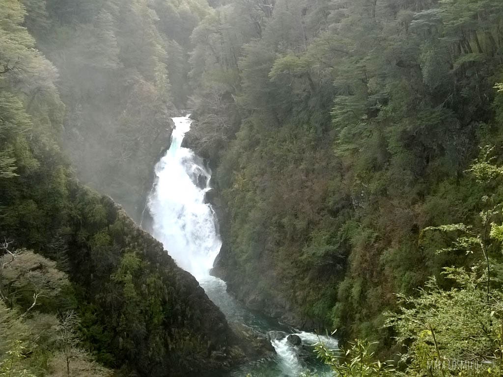 La cascada Chachín rodeada de selva valdiviana