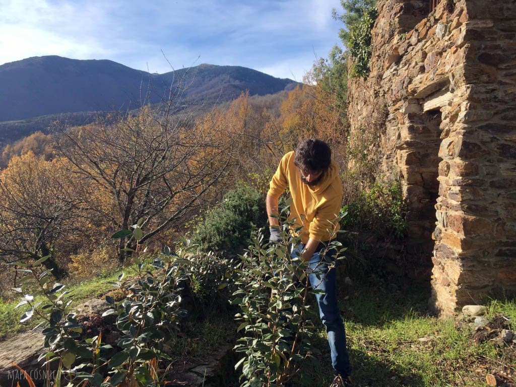 Trabajo en voluntariado de jardinería al aire libre en la montaña