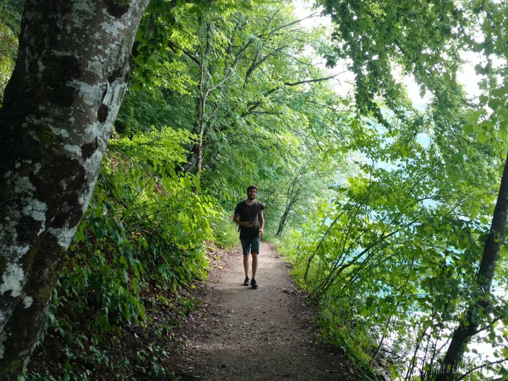 Lagos de Plitvice Croacia, colores verdes, sendero y hombre caminando
